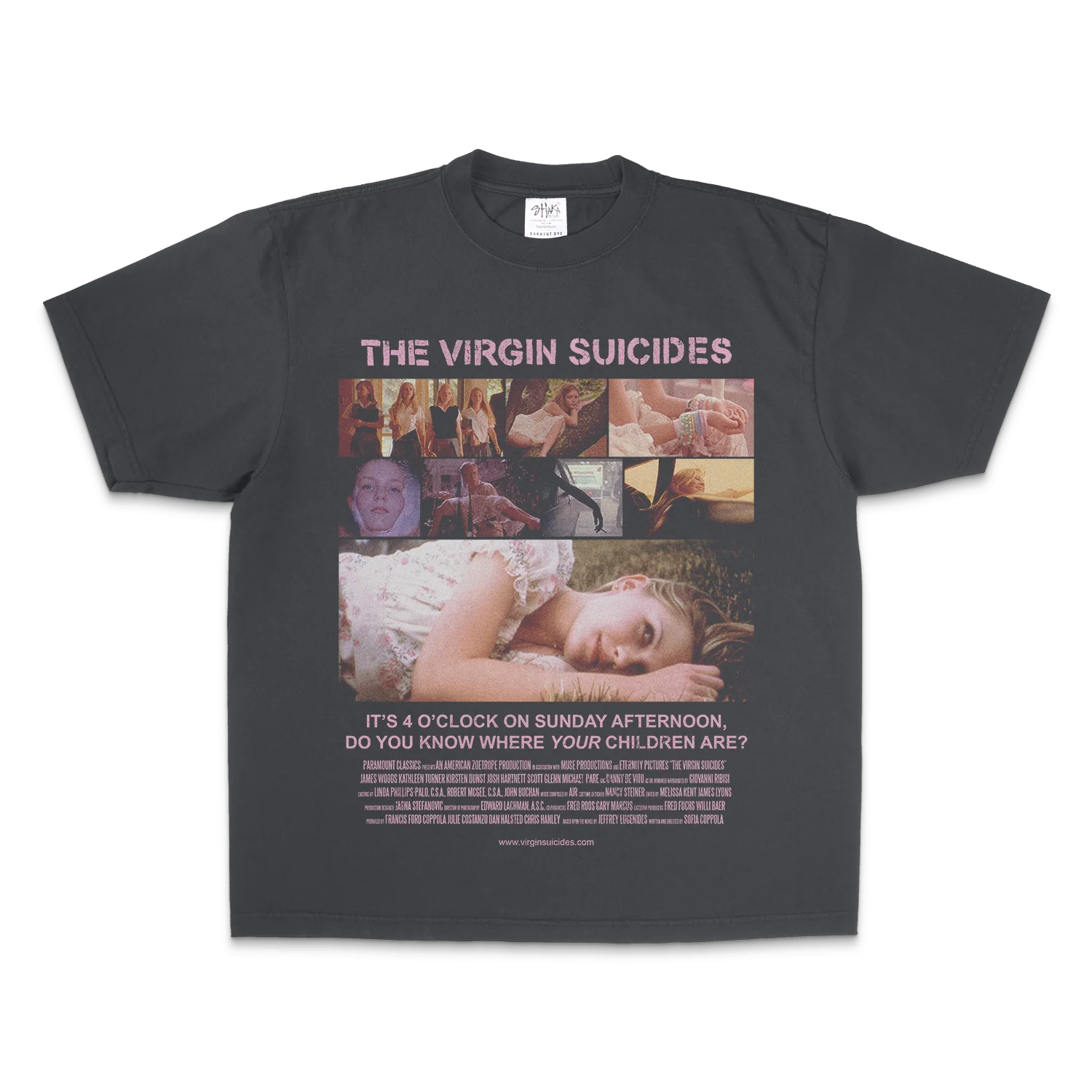 THE VIRGIN SUICIDES - Image 2